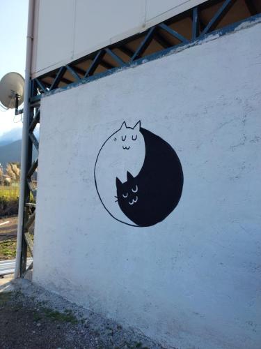 ying yang cat