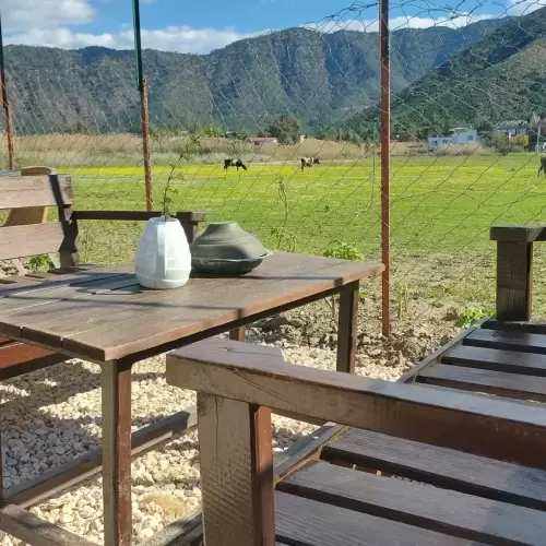 bahar geldi kedi campinge