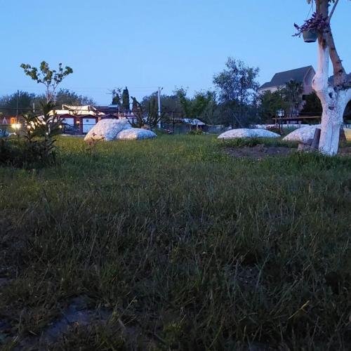 Kedi Camping Gece ve Bahçe Minderleri